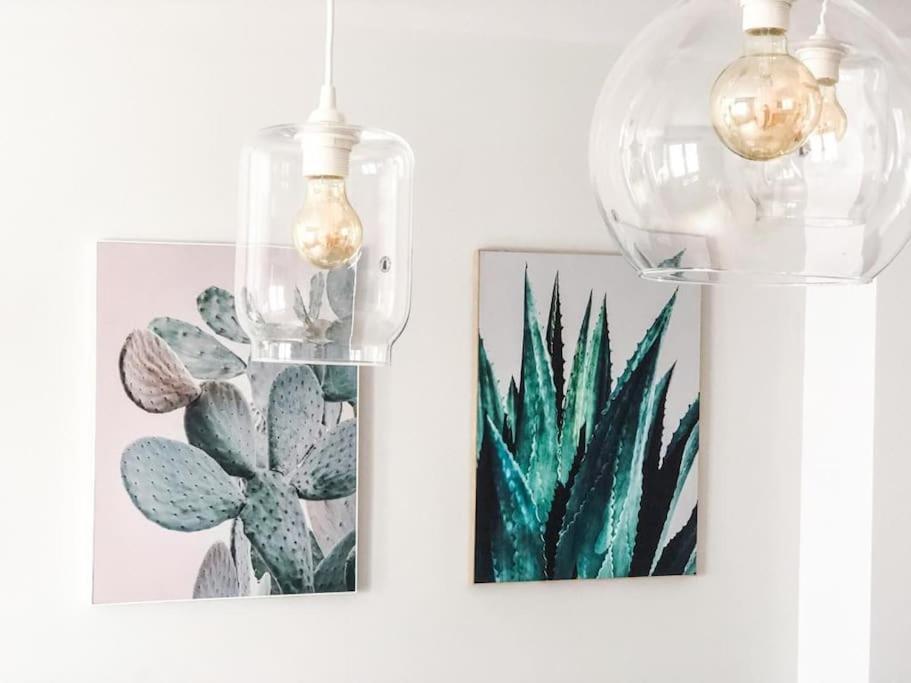 Apartament Cactus
